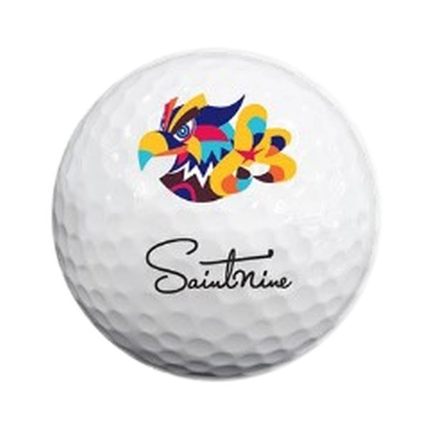 SaintNine Inside Track - 10 balls